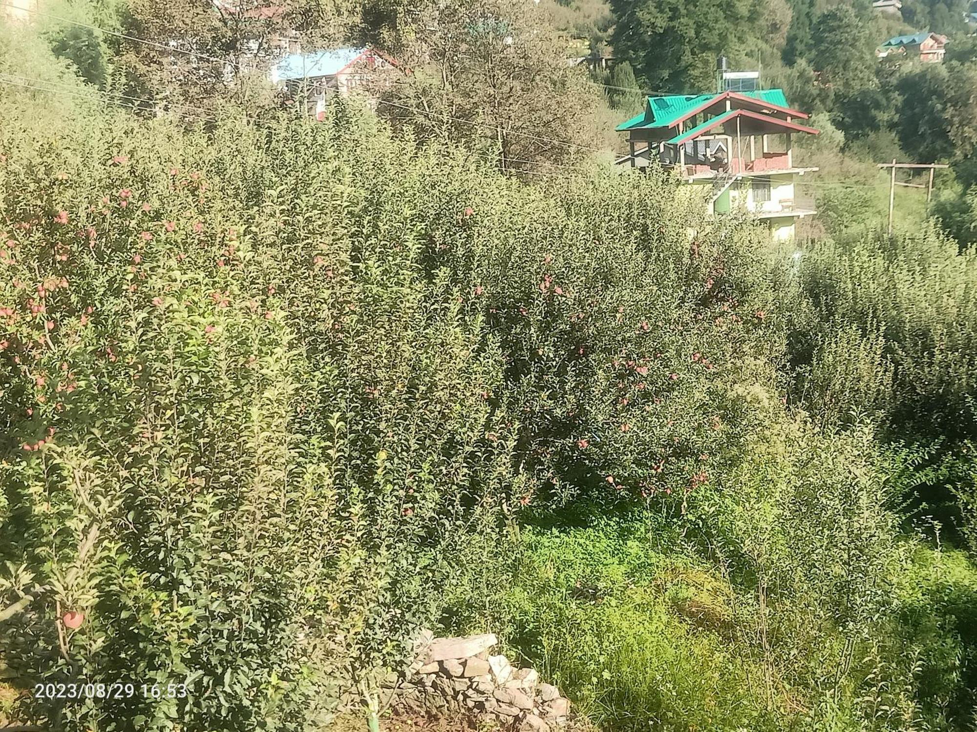마날리 Lotus Retreat 빌라 외부 사진